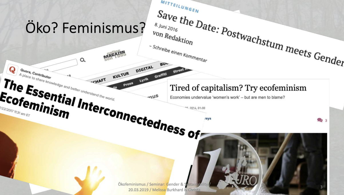 Vortrag | Ökofeminismus. Gender und Nachhaltigkeit: Brückenschlag zwischen Theorie und Praxis