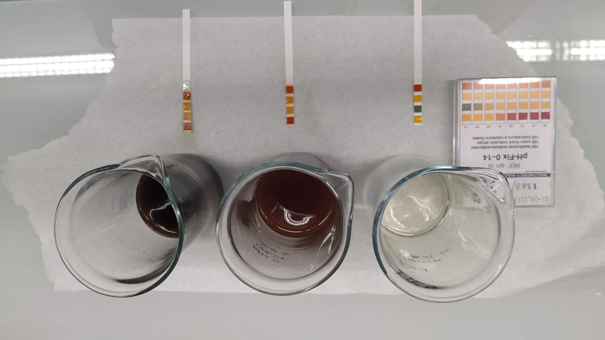 Master thesis | Do effective microorganisms® (EM) affect the transformation of organic matter?