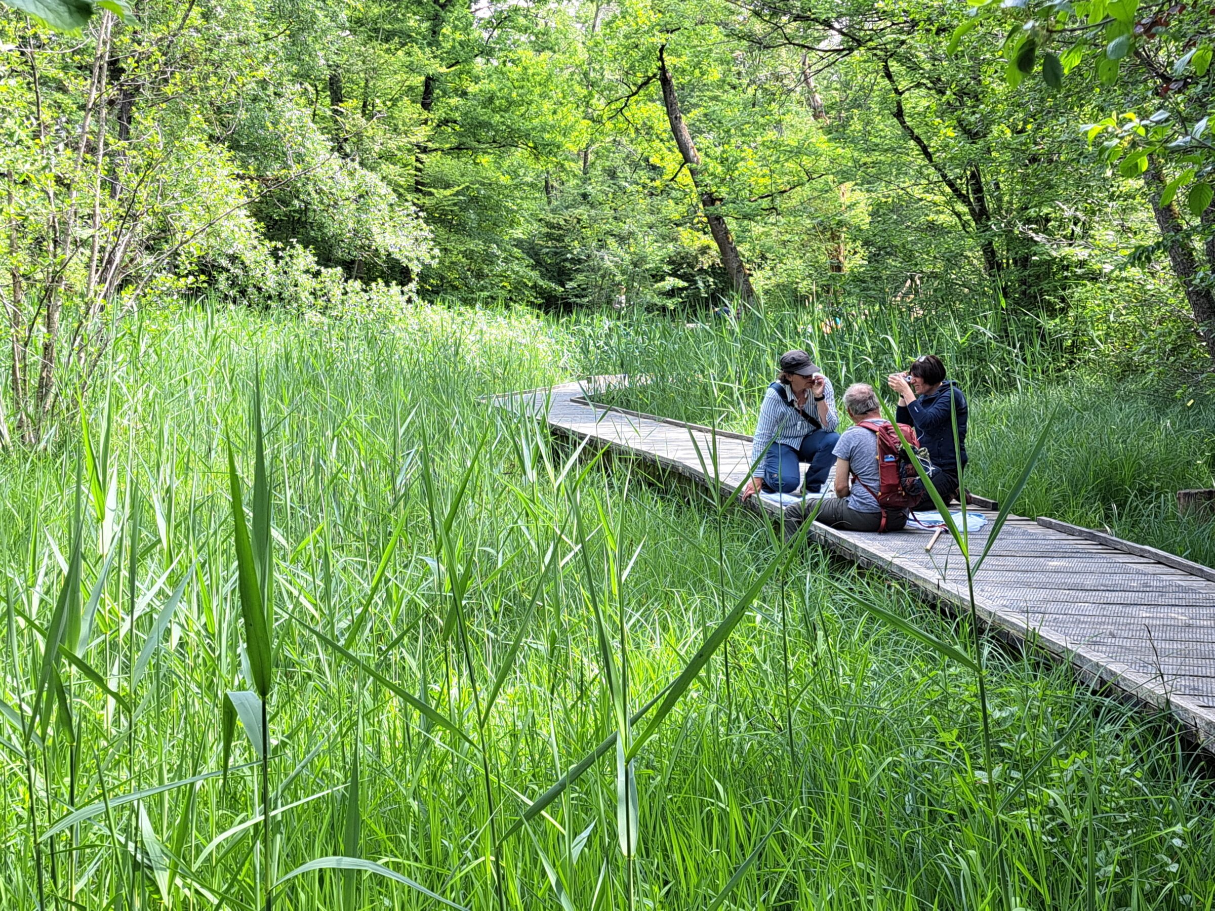 Projektleitung | Webauftritt Heinrich Welti-Stiftung